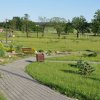 Park - 19